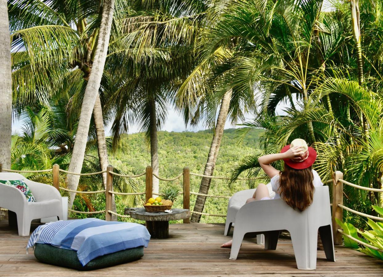 Domaine Karaibes Villa Deshaies Bagian luar foto