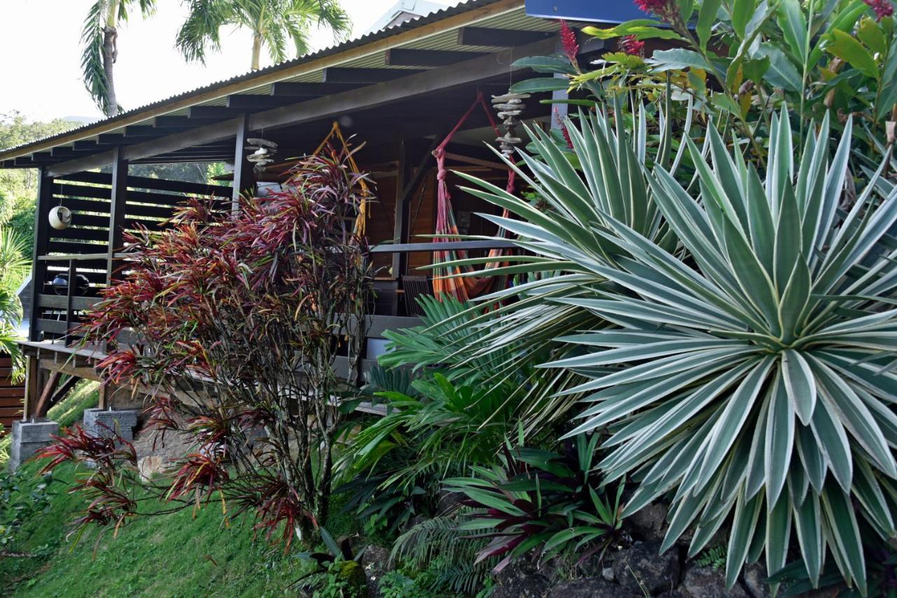 Domaine Karaibes Villa Deshaies Bagian luar foto