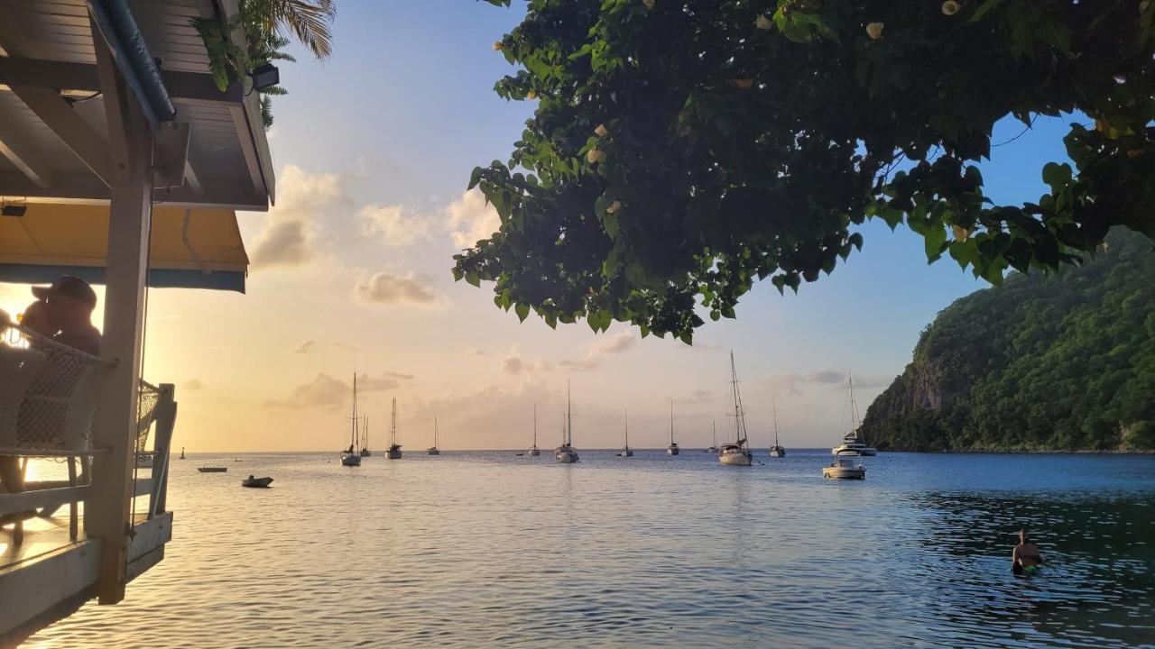 Domaine Karaibes Villa Deshaies Bagian luar foto