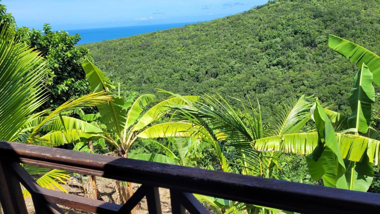 Domaine Karaibes Villa Deshaies Bagian luar foto