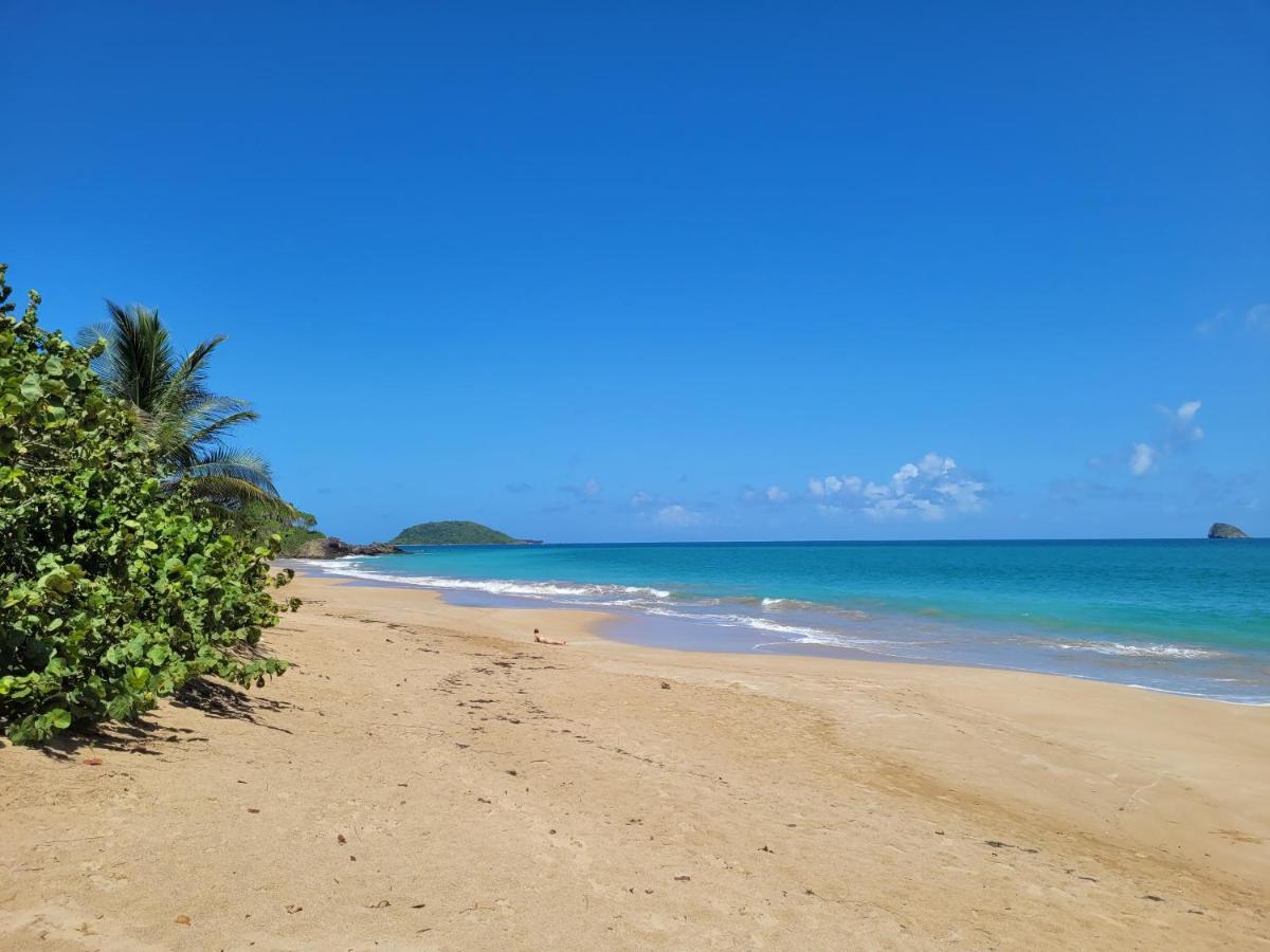 Domaine Karaibes Villa Deshaies Bagian luar foto